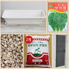 행복한세상 텃밭가꾸기 대 화이트 청치마상추