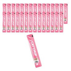 캣찹 반려묘 참치 연어 파우치 리뷰후기