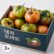 금주의 할인상품  대저토마토 실시간 인기상품_프레시픽 대저 토마토 L, 1.5kg, 3개