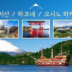 [일본 도쿄] ★1명도 무조건 출발★ 하코네 + 오시노핫카이 당일 여행 [C코스]