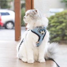후펫 고양이 전용 하네스 h형 가슴줄 산책줄 목줄 리드줄포함 리뷰후기