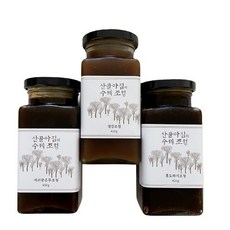 산골아짐의 수제조청 홍도라지조청 강원도 정선 약도라지를 9번 찌고 말린 약도라지청 리뷰후기