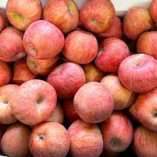 이번주 마지막할인  열매나무 못난이 부사사과 Top5_고당도 가정용 흠집 못난이 부사사과, 1개, 3kg(15과 내외)