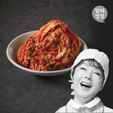 김수미의 엄마생각 김치 9K 리뷰후기