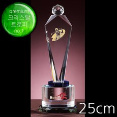 트로피 우승트로피 골프트로피 이글패 싱글패 홀인원패 골프상패 TF6-14705 리뷰후기