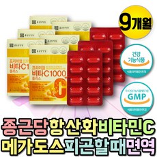 비타민C 활성산소 영양제 VITAMINC 비타민시 비타민씨 메가도스 비타민 순수비타민C 항산화제 항산화 비타민씨 수용성비타민 면역 비타민 비타민제 아스코르브산 종합비타민제 임산부, 100정, 1개