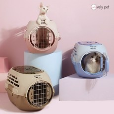 오블리펫 이중출입구 탑도어 후드형 고양이 화장실 리뷰후기