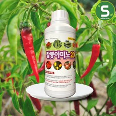 고추전용 칼슘결핍예방 칼슘함유 칼붕아미노
