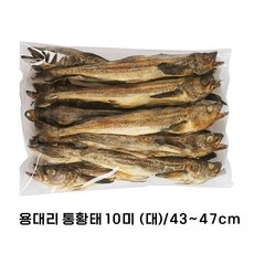 강원도 용대리 자연건조 통황태 44- 10마리 최상품 황태 통북어 리뷰후기
