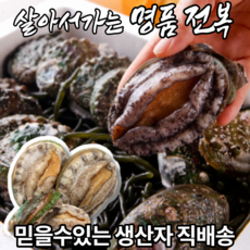오남매전복 10미 13미 15미 산소포장 선물포장 전복 선물세트 특대 사이즈 완도 진도 직거래 선물용 산지직송