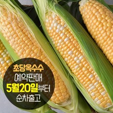 이게 가성비다 초당옥수수 Best5_국내산 햇 초당옥수수 생으로도 먹는 옥수수, 10개