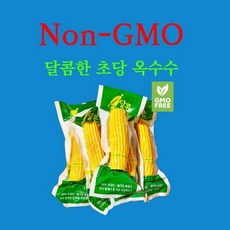 365일 먹는 non-GMO 프리미엄 초당옥수수(4개/8개 선택가능), 4개
