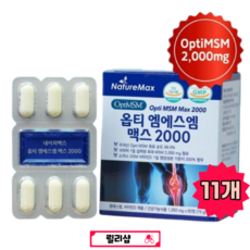 연골 관절 뼈 건강 관절케어 연골통증 무릎연골 관절건강 릴리샵 MSM 영양보충식품 건강기능식품, 11개,
