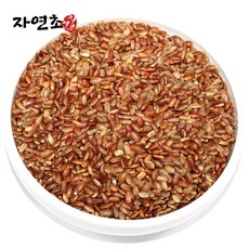 자연초 국산 홍미쌀 적미 붉은 쌀 건강홍미 리뷰후기