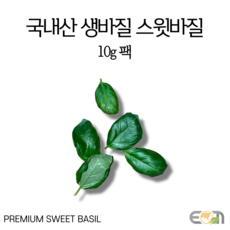 국내산 스윗바질 생잎 리뷰후기