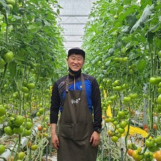 특품 장수 완숙토마토 매일 30박스 당일수확 장수군 김주 이웃의 단단한 토마토 장수농협 리뷰후기