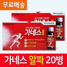 광동 가네스 알파 만성 피로 회복 음주전후 음료