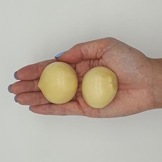 22년산 햇 토종 코끼리 마늘 리뷰후기