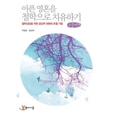 아픈 영혼을 철학으로 치유하기(큰글씨책):철학상담을 위한 공감적 대화와 초월 기법, 학이시습, 박병준,홍경자