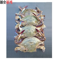 옹진수산 가을 숫꽃게 사이즈 봄꽃게 연평도 꽃게 리뷰후기