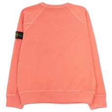Stone Island 스톤아일랜드키즈 와펜 맨투맨 781660141 V0136 10A12A