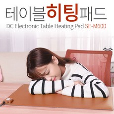 셀인스텍 SE-600 온열 마우스 장패드 책상-테이블 히팅매트 인싸아이템 리뷰 후기