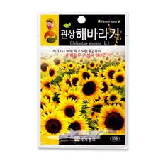 모칸도 세계 관상해바라기꽃씨 30립