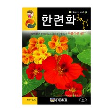 모칸도 세계 한련화 꽃씨