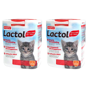 비아파 고양이 락톨 키튼 분유, 500g, 2개