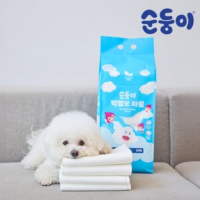 순둥이 일회용 빅엠보 펫타월 특대형 10매 1팩 /대형견 사이즈, 1개, 화이트