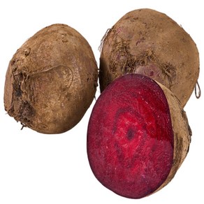 초특가 청담농수산 국산 25년 햇 레드비트, 1개, 10kg