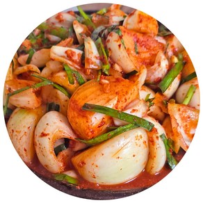 올바른새움푸드 국산100% 농가수제 달큰아삭한 햇 양파김치, 1개, 1kg