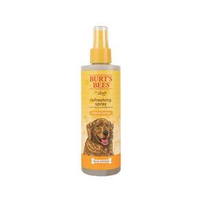 BURT'S BEES 甜園乳香舒敏乾洗潔膚水, 236ml, 1瓶