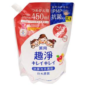 LION 獅王 趣淨 洗手慕斯補充包 清新果香, 450ml, 1包