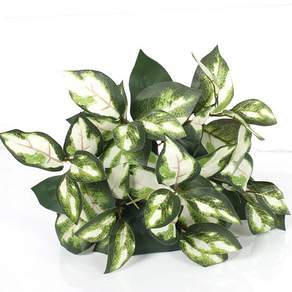 JOART 地被植物 hoya, 白色的