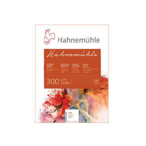 Hahnemühle 300 水彩墊厚實木啞光 30 x 40cm 300 克 10 張, 1個