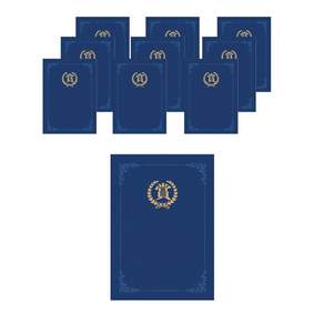 丹尼爾文具魔術布插紙證書案例獎 A4 220g, 10個, 藍色
