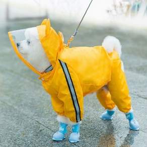小狗雨衣, 黃熊