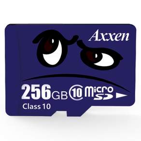 Axxen microSD 記憶卡 Class10 UHS 1 U3 MSD, 256GB