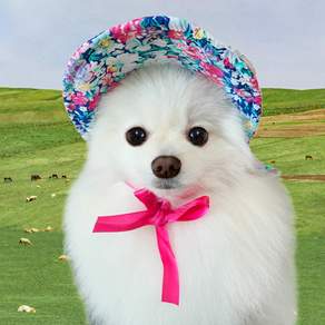 PASTEL PET 寵物用碎花圖案綁帶遮陽帽, 藍色花朵款