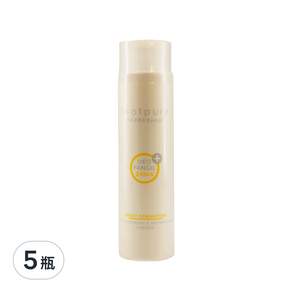 FOOTPURE 第三代鞋蜜粉 清新桂花 49g, 100ml, 5瓶