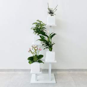 Enplant 室內現代花盆收納盒, 白色, 4層