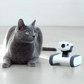 Varram Appbot Riley 寵物攝像機器人, 單品, 混色