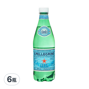 SANPELLEGRINO 聖沛黎洛 天然氣泡礦泉水, 500ml, 6瓶