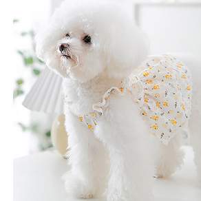 Petit Dog Puppy Furisha 連衣裙 DSO061, 黃色