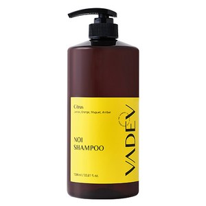 바디브 노이 샴푸 시트러스 1000ml, 1개