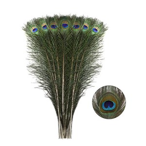 DIY 공예용 천연 공작 깃털 결혼식 장식 집 꽃꽂이 10개 로트, 20Pcs, 40-50Cm 16-20Inch, 20개