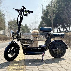 타이탄600 pro 강아지 대형견 대용량 전기 스쿠터 전동 21ah 블랙, 블랙(2번사은품), 하이텐강