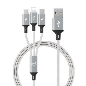 디지지 3in1 스마트폰 고속 충전 멀티케이블 스카이 메타, 70cm, 메탈실버, 1개