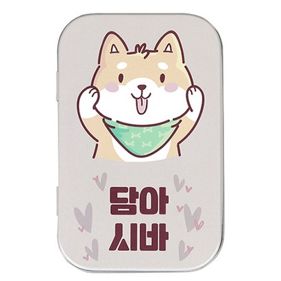 고프트 담아시바 골프티 케이스
